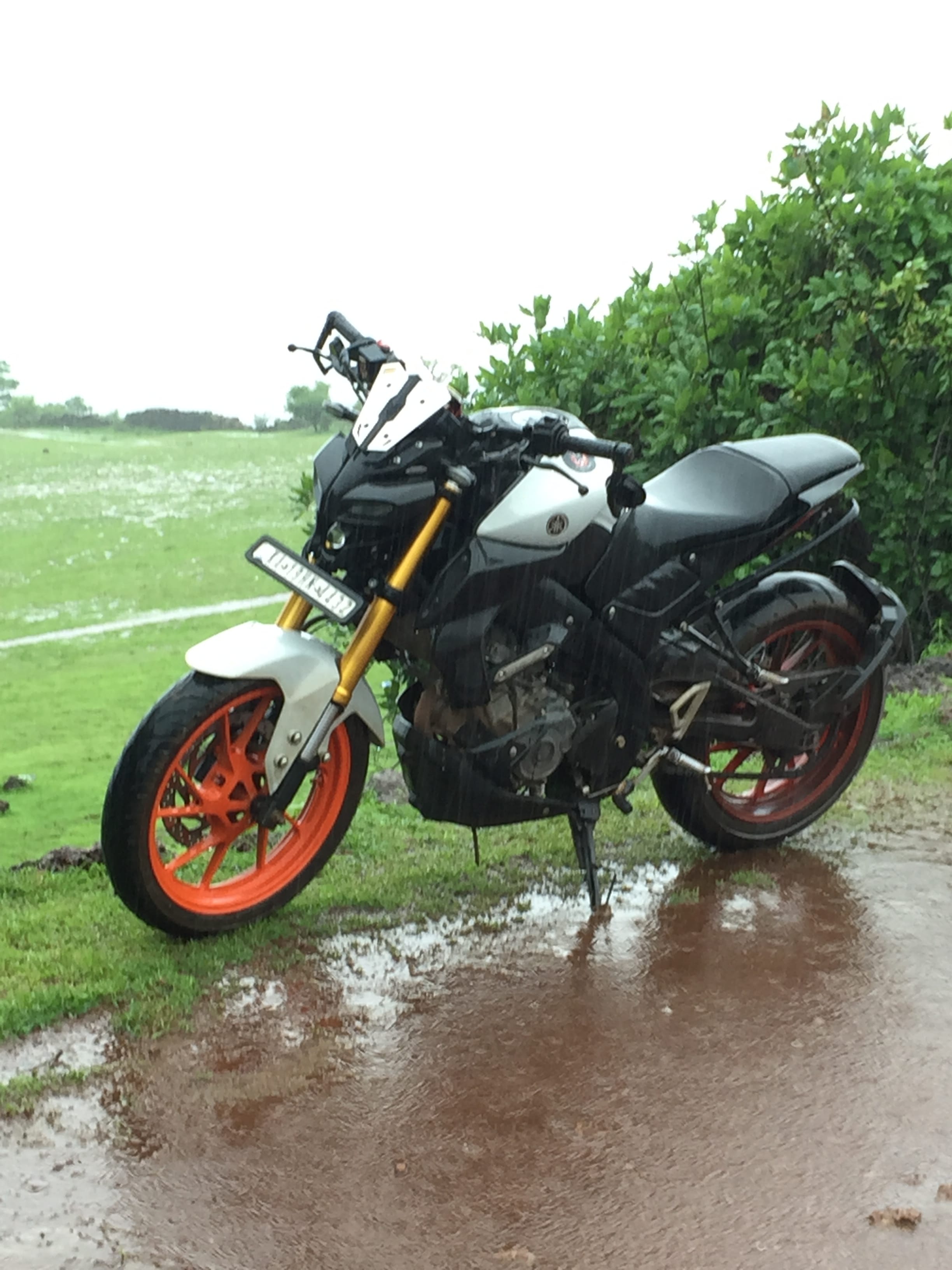 Review image 1 by Naveen Kumar